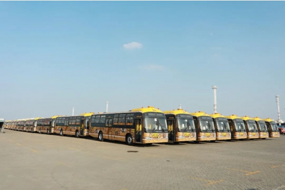 415 автобусов King Long отправились в Боливию
